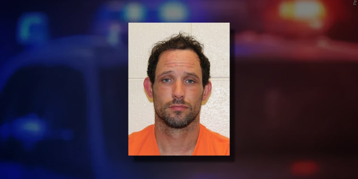 York man flees traffic stop with two children inside SUV, sheriff’s office says