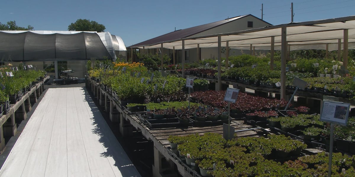 Johansen Greenhouse and Nursery still growing strong under family’s care in Norfolk